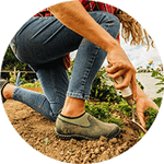 Gardening